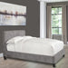 Parker Living Sleep Jody - Cornflower Queen Bed